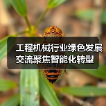 工程机械行业绿色发展交流聚焦智能化转型(图3) 工程机械行业绿色发展交流聚焦智能化转型(图3)
