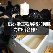 俄罗斯工程展将如何助力中俄合作?(图3) 俄罗斯工程展将如何助力中俄合作?(图3)