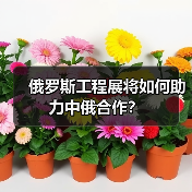 俄罗斯工程展将如何助力中俄合作?(图4) 俄罗斯工程展将如何助力中俄合作?(图4)