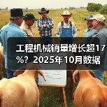 工程机械销量增长超17%?2025年10月数据揭秘(图2) 工程机械销量增长超17%?2025年10月数据揭秘(图2)