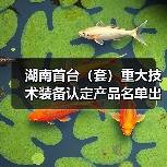 湖南首台(套)重大技术装备认定产品名单出炉(图4) 湖南首台(套)重大技术装备认定产品名单出炉(图4)