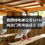 我国核电建设首台1600吨龙门吊吊装成功 创新高效施工模式(图2) 我国核电建设首台1600吨龙门吊吊装成功 创新高效施工模式(图2)