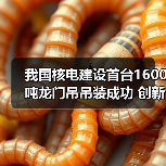 我国核电建设首台1600吨龙门吊吊装成功 创新高效施工模式(图1) 我国核电建设首台1600吨龙门吊吊装成功 创新高效施工模式(图1)
