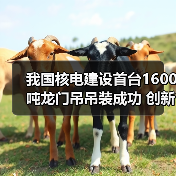 我国核电建设首台1600吨龙门吊吊装成功 创新高效施工模式(图3) 我国核电建设首台1600吨龙门吊吊装成功 创新高效施工模式(图3)
