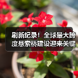 刷新纪录!全球最大跨度悬索桥建设迎来关键突破(图4) 刷新纪录!全球最大跨度悬索桥建设迎来关键突破(图4)