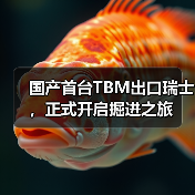 国产首台TBM出口瑞士,正式开启掘进之旅(图2) 国产首台TBM出口瑞士,正式开启掘进之旅(图2)