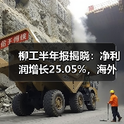 柳工半年报揭晓:净利润增长25.05%,海外业务成增长引擎(图3) 柳工半年报揭晓:净利润增长25.05%,海外业务成增长引擎(图3)