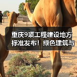 重庆9项工程建设地方标准发布!绿色建筑与智能感知全面升级(图4) 重庆9项工程建设地方标准发布!绿色建筑与智能感知全面升级(图4)