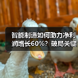 智能制造如何助力净利润增长60%？破局关键路径解析（图1）