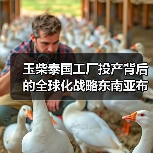 玉柴泰国工厂投产背后的全球化战略东南亚布局(图4) 玉柴泰国工厂投产背后的全球化战略东南亚布局(图4)