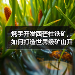 携手开发西芒杜铁矿,如何打造世界级矿山开采新标杆?(图2) 携手开发西芒杜铁矿,如何打造世界级矿山开采新标杆?(图2)