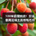 100米极限挑战!全球最高混凝土面板堆石坝如何实现智能高效建造?(图2) 100米极限挑战!全球最高混凝土面板堆石坝如何实现智能高效建造?(图2)