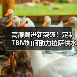 高原掘进新突破!定制TBM如何助力拉萨供水工程(图2) 高原掘进新突破!定制TBM如何助力拉萨供水工程(图2)