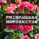 巨型工程机械轮胎寿命测算新标准制定方法解析（图1）