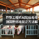 巨型工程机械轮胎寿命测算新标准制定方法解析（图4）