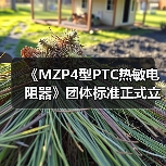 《MZP4型PTC热敏电阻器》团体标准正式立项，行业规范升级（图2）