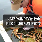 《MZP4型PTC热敏电阻器》团体标准正式立项，行业规范升级（图4）