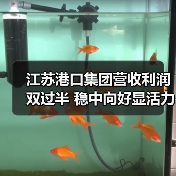 江苏港口集团营收利润双过半 稳中向好显活力（图4）