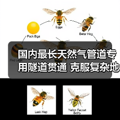 国内最长天然气管道专用隧道贯通 克服复杂地质挑战(图3) 国内最长天然气管道专用隧道贯通 克服复杂地质挑战(图3)