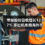 常柴股份营收增长12.07% 多缸机布局海外市场如何突围?(图4) 常柴股份营收增长12.07% 多缸机布局海外市场如何突围?(图4)