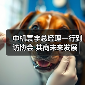 中机寰宇总经理一行到访协会 共商未来发展(图1) 中机寰宇总经理一行到访协会 共商未来发展(图1)