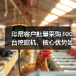 印尼客户批量采购300台挖掘机,核心优势如何打动市场?(图2) 印尼客户批量采购300台挖掘机,核心优势如何打动市场?(图2)
