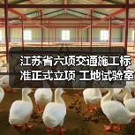 江苏省六项交通施工标准正式立项 工地试验室管理新规出炉（图3）