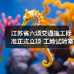 江苏省六项交通施工标准正式立项 工地试验室管理新规出炉（图4）