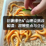新疆绿色矿山建设新政解读:政策要点与企业应对策略(图2) 新疆绿色矿山建设新政解读:政策要点与企业应对策略(图2)