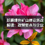 新疆绿色矿山建设新政解读:政策要点与企业应对策略(图4) 新疆绿色矿山建设新政解读:政策要点与企业应对策略(图4)