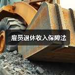 雇员退休收入保障法（图4）