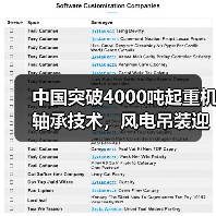 中国突破4000吨起重机轴承技术,风电吊装迎新机遇?(图4) 中国突破4000吨起重机轴承技术,风电吊装迎新机遇?(图4)