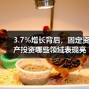 3.7%增长背后，固定资产投资哪些领域表现亮眼？