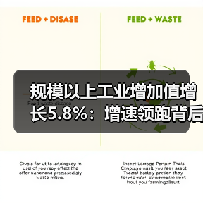 规模以上工业增加值增长5.8%:增速领跑背后的产业动能(图1) 规模以上工业增加值增长5.8%:增速领跑背后的产业动能(图1)