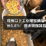 规模以上工业增加值增长5.8%:增速领跑背后的产业动能(图3) 规模以上工业增加值增长5.8%:增速领跑背后的产业动能(图3)