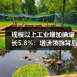 规模以上工业增加值增长5.8%:增速领跑背后的产业动能(图4) 规模以上工业增加值增长5.8%:增速领跑背后的产业动能(图4)