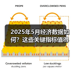 2025年5月经济数据如何？这些关键指标值得关注（图3）