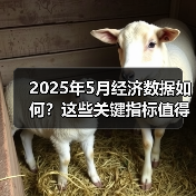 2025年5月经济数据如何？这些关键指标值得关注（图2）