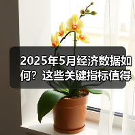 2025年5月经济数据如何？这些关键指标值得关注（图4）