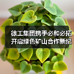 徐工集团携手必和必拓开启绿色矿山合作新纪元(图4) 徐工集团携手必和必拓开启绿色矿山合作新纪元(图4)
