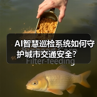 AI智慧巡检系统如何守护城市交通安全？