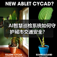 AI智慧巡检系统如何守护城市交通安全?(图2) AI智慧巡检系统如何守护城市交通安全?(图2)