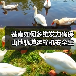 苍南如何多维发力确保山地轨道运输机安全生产?(图4) 苍南如何多维发力确保山地轨道运输机安全生产?(图4)