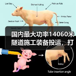 国内最大功率14060米隧道施工装备投运，打破世界纪录