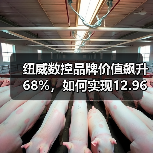 纽威数控品牌价值飙升68%，如何实现12.96亿元新突破？