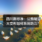 四川新标准:公路隧道大变形如何系统防治?(图4) 四川新标准:公路隧道大变形如何系统防治?(图4)