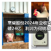 常柴股份2024年营收突破24亿,利润为何锐减?(图3) 常柴股份2024年营收突破24亿,利润为何锐减?(图3)