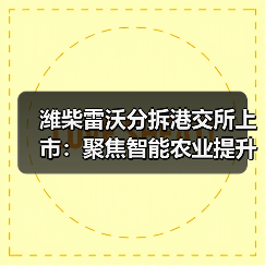 潍柴雷沃分拆港交所上市:聚焦智能农业提升竞争力?(图4) 潍柴雷沃分拆港交所上市:聚焦智能农业提升竞争力?(图4)