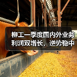 柳工一季度国内外业务利润双增长,逆势稳中求进(图2) 柳工一季度国内外业务利润双增长,逆势稳中求进(图2)