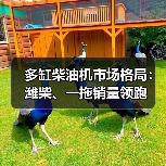 多缸柴油机市场格局：潍柴、一拖销量领跑